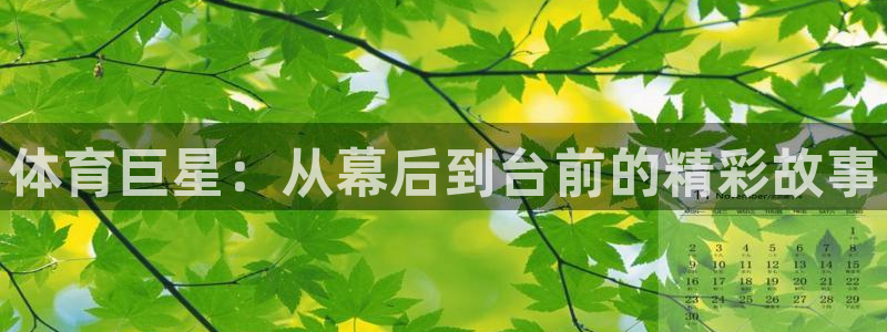米兰体育官网下载开户:体育巨星:从幕后到台前的精彩故事