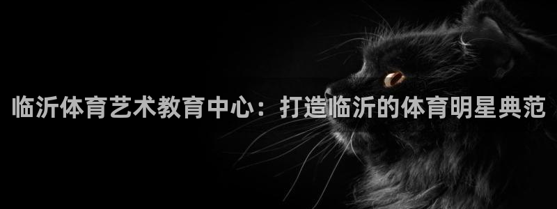 米兰体育官方正版app集团官网首页:临沂体育艺术教育中心:打
